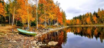 Фото номера Улучшенное шале Шале Villa Ankkuri г. Савонранта 77