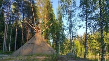 Фото номера Улучшенное шале Шале Villa Ankkuri г. Савонранта 66